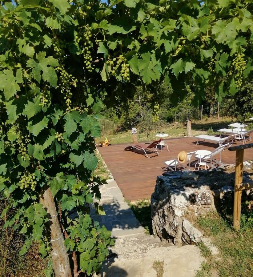 Casagrande Bed & Breakfast *